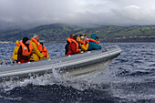 Whalewatcher ride the waves along the southcoast of Sao Miguel, Azores, Portugal