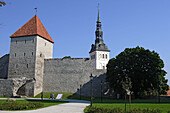 Stadtmauer und Olaikirche