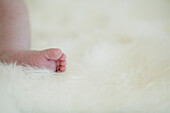 Close-up of baby foot