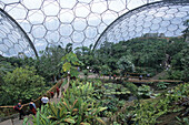 Humid Tropics Biome at The Eden Project, Near St Austell, Cornwall, England