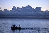 Fisherboot bei Tagesanbruch, Clovelly, Devon, Südengland, England, Großbritannien, Europa