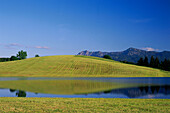 Landschaft im Blauen Land, Oberbayern, Bayern, Deutschland