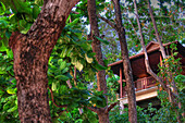 Bungalow at Pimalai Resort, Koh Lanta, Ko Lanta, Thailand, Asia