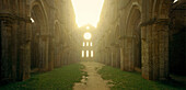 Im Inneren der Kathedrale ohne Dach bei Sonnenaufgang, San Galgano, südlich von Siena, Toskana, Italien