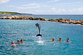 Menschen baden mit Delfin an der Curacao Dolphin Academy, Bapor Kibra, Curacao, ABC-Inseln, Niederländische Antillen, Karibik