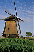 Windmühle in idyllischer Landschaft, Niederlande, Europa