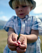 Junge hält eine Heuschrecke auf der Hand, Simmental, Berner Alpen, Kanton Bern, Schweiz