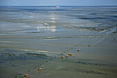 Horse-drawn carriage on the way to Neuwerk Island, Cuxhaven, Lower Saxony, Germany