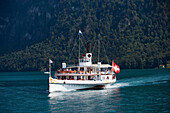 Paddle Steamer DS Gallia on Lake Lucerne, Burgenstock, Canton of Lucerne, Switzerland