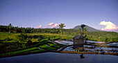 Mt. Agung, rice fields, Indonesia