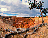 USA Utah Bryce Canyon National Park