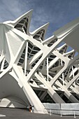 Spanien, Valencia, Wissenschaftsstadt von Santiago Calatrava