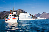 Ein Schiff vor dem Eisfjord Qooroq, Südgrönland