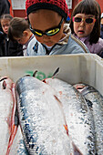 Inuit-, Eskimokinder betrachten die Fischauslage am Fleisch- und Fischmarkt in Nuuk, der Hauptstadt Grönlands.