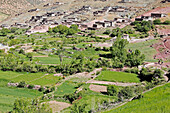 The Berber village of Taghia, Atlas Mountains, Morocco, North Africa