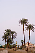 Luxor Temple and palm trees in the evening light, Luxor, Egypt