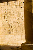 Hieroglyphen in Ramesseum, Tempel, Luxor, Ägypten