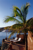 Small luxury hotel with palm tree, La Casa que canta, Zihuatanejo, Guerrero, Mexico, America