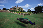 Chilham castle und Gartenanlage, Chilham, Kent, England