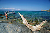 Ast, Boot, Strand an der Nordküste, Isola del Giglio, Toskana, Italien