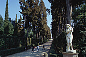 Cypress avenue, Vittolone, Giardino di Boboli, Florence, Tuscany, Italy