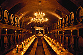 Wine cellar of the Residenz, Hotel cellar, Wurzburg, Franconia, Germany