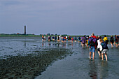 Tourists mudflat hiking, Norderney, East Frisian Islands, Lower Saxony, Germany