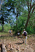 Touristen laufen durch ein Wald, Nord Andamanen, Andamanen, Indien