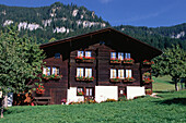 Rural scene with farmhouse at Beatenberg near Interlaken, Bernese Oberland, Switzerland