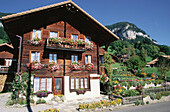 Ländliches Motiv mit Bauernhaus, Beatenberg bei Interlaken, Berner Oberland, Schweiz
