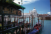 Gondolas in Canal Grande, Venice, Italy