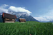 Blick auf die Karwendel, Berg, bei Mittenwald, Oberbayern, Bayern, Deutschland