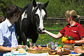 Couple with horse having lunch outside in the open, Muehlviertel, Upper Austria, Austria