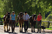 Three horseriders going riding with their horses and a dog, Muehlviertel, Upper Austria, Austria