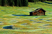 Barn on humpy meadow, Klais, Upper Bavaria, Bavaria, Germany