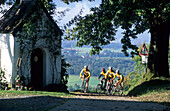Gruppe von vier Mountainbikern am Samerberg, Chiemgau, Oberbayern, Bayern, Deutschland