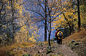 two hikers on footpath Sentiero Panoramico with trees in autumn colours, Grisons, Switzerland
