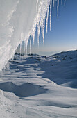 Icicles hanging from a cornice above the wide snow fields of Hagengebirge, Berchtesgaden range, Upper Bavaria, Bavaria, Germany