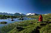 hiker at lake Soomsee with cotton grass and view to the snow-covered Ötztal range, Ötztal range, Tyrol, Austria
