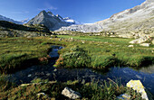 swamp and stream with view to Lobbia, Adamello range, Italy