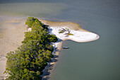 Luftbild von einer Insel im Zehntausand Inseln Naturpark, Florida, USA