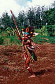 Huli Perueckenmann mit Bogen, Bogenschuetze, Tari, Huli, Highlands, Papua Neu Guinea