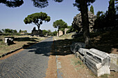 Alte römische Relikte, Appia Antica, Rom, Italien