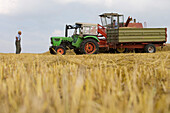 Harvester and tractor in field during grain harvest, Haunetal, Rhoen, Hesse, Germany