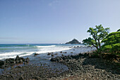 USA, Hawaii, Maui, Hana, Hana Beach Park, beach club, gravel, stone, Island, wave, ocean