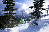 Skier skiing down run on Castle Mountain, Castle Mountain Ski Resort, Southern Alberta, Canada