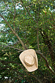 Hat on a limb, Munich, Bavaria, Germany