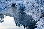 Spiegelung von Bäumen, Gebüschen und Himmel im Fluss, Ufer, Isartal, Bayern, Deutschland