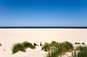 Dünen und Strand, Juist, Ostfriesische Inseln, Ostfriesland, Niedersachsen, Deutschland