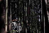 Mountain biker riding in forest, Dillingen, Bavaria, Germany